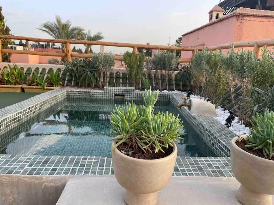 Riad Ptit Kech, Bassin Terrasse - Petits Dejeuners Marraquexe Exterior foto
